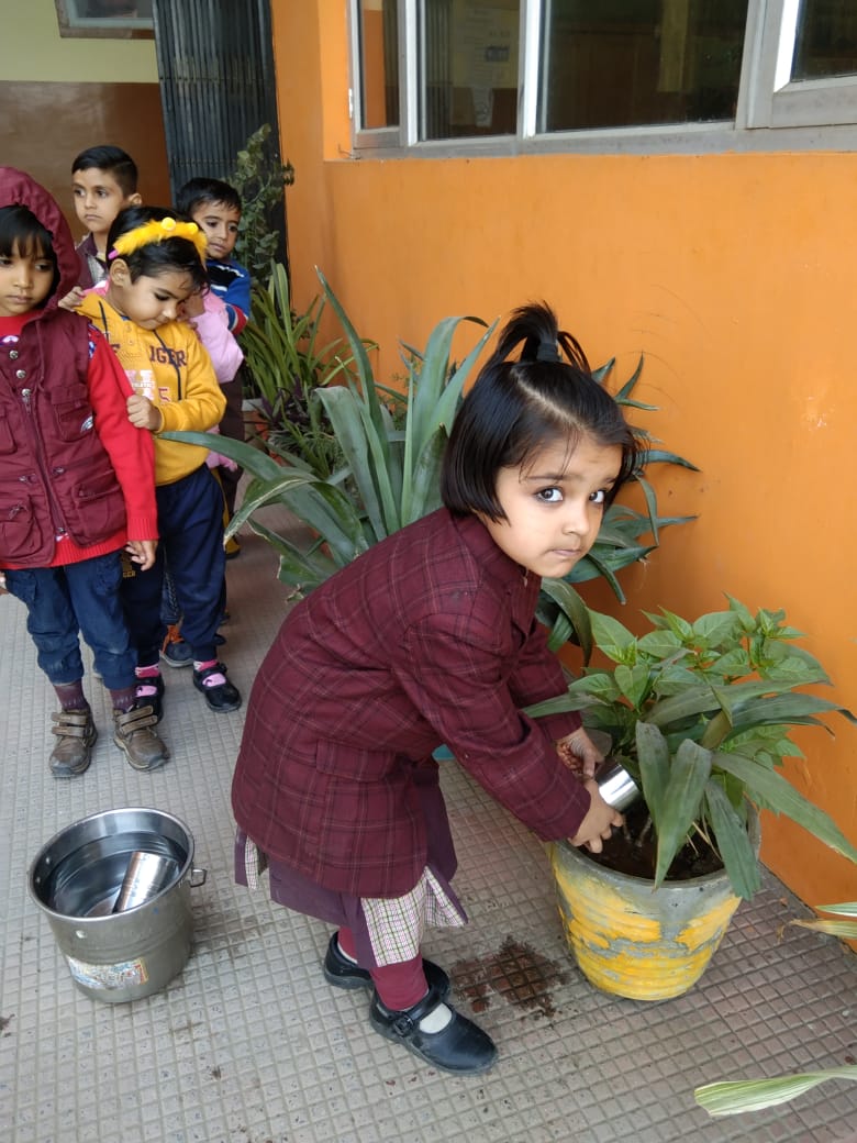 Watering to Plants